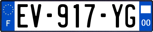 EV-917-YG