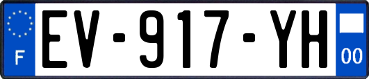 EV-917-YH