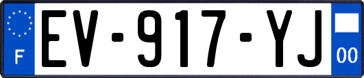 EV-917-YJ