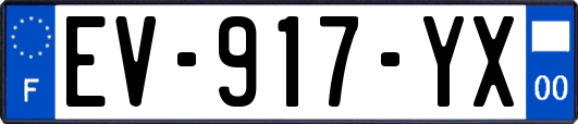 EV-917-YX