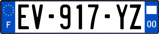 EV-917-YZ