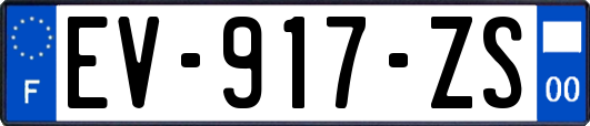 EV-917-ZS