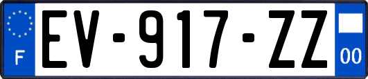 EV-917-ZZ