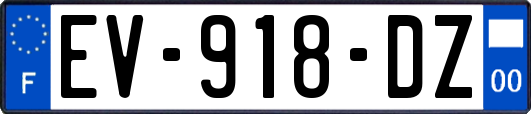 EV-918-DZ