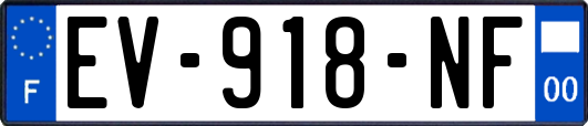 EV-918-NF