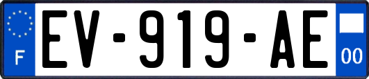 EV-919-AE