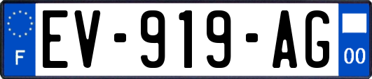 EV-919-AG