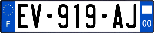 EV-919-AJ