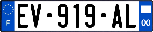 EV-919-AL