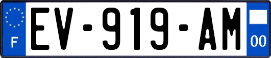 EV-919-AM