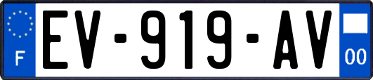 EV-919-AV