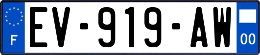EV-919-AW