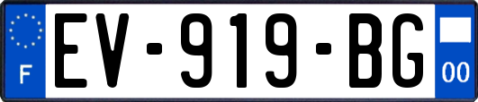 EV-919-BG