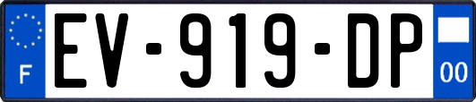 EV-919-DP