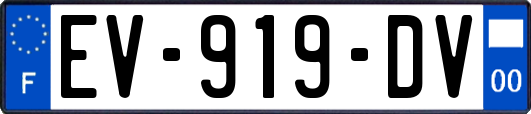 EV-919-DV