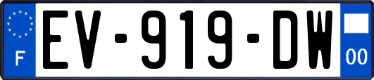 EV-919-DW