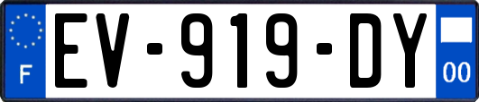 EV-919-DY