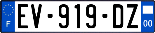 EV-919-DZ