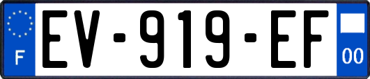 EV-919-EF