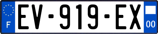 EV-919-EX