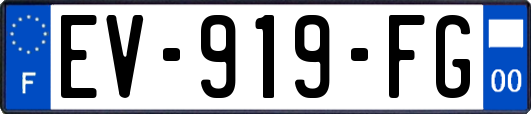 EV-919-FG