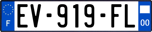 EV-919-FL