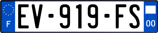 EV-919-FS