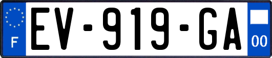 EV-919-GA