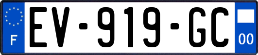 EV-919-GC