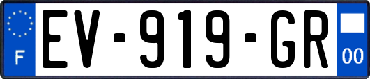 EV-919-GR