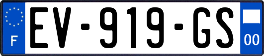 EV-919-GS