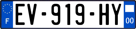 EV-919-HY