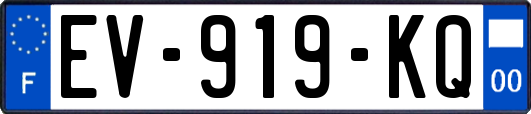 EV-919-KQ
