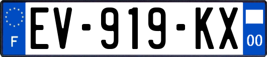 EV-919-KX