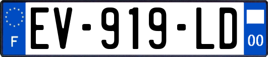 EV-919-LD
