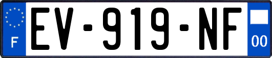 EV-919-NF