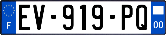 EV-919-PQ