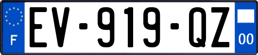EV-919-QZ