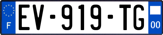 EV-919-TG