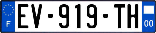 EV-919-TH