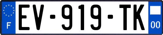 EV-919-TK