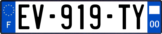 EV-919-TY