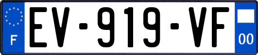EV-919-VF