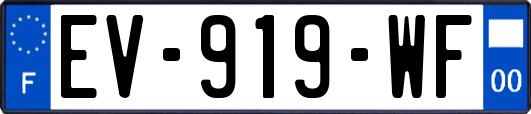 EV-919-WF