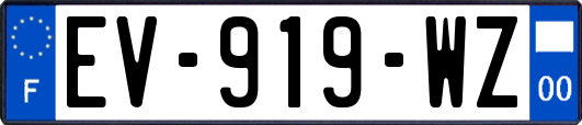 EV-919-WZ