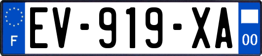 EV-919-XA