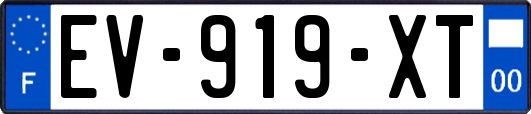 EV-919-XT