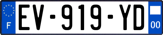 EV-919-YD