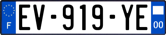 EV-919-YE