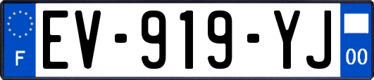 EV-919-YJ